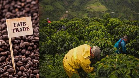 Coffee trade. Things To Know About Coffee trade. 
